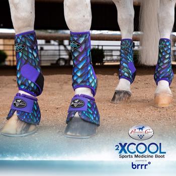 Limited Edition 2XCool Sports Medicine Boots - Front Pair - Dragon Medium